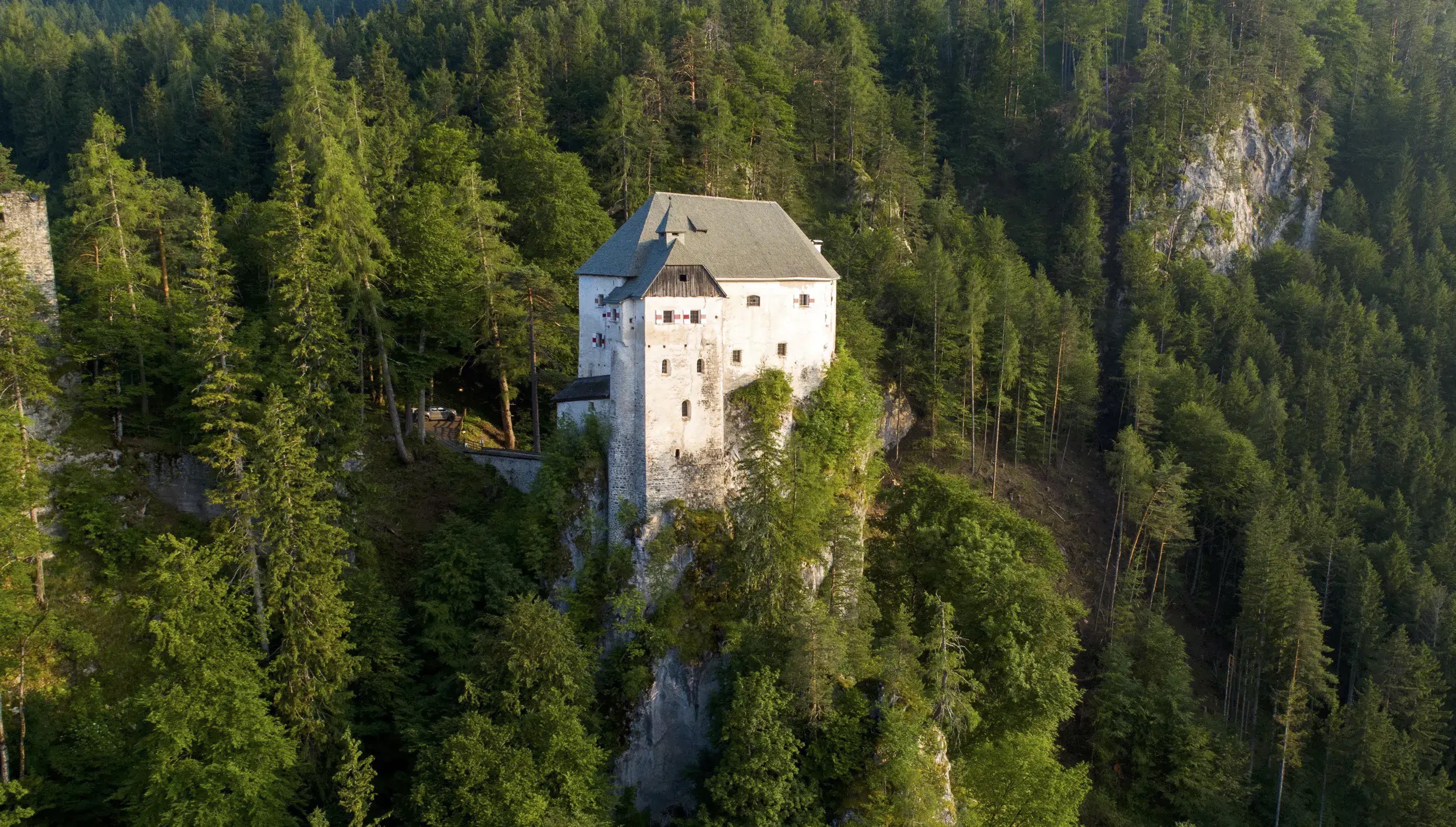 Ferienhaus Webseite Schloss Stein Drautal Aussenansicht des Schlosses Wald Aufnahme 1
