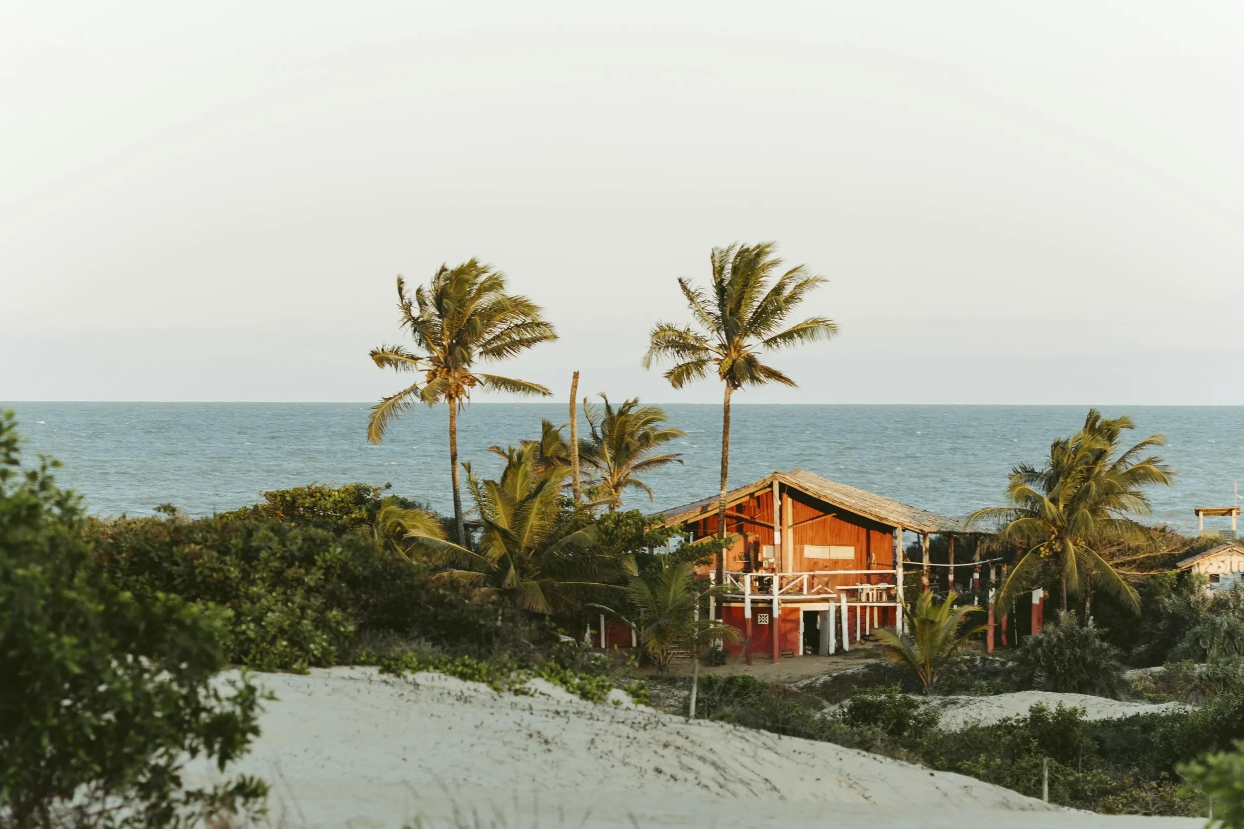 haus am strand ferienhaus webseite